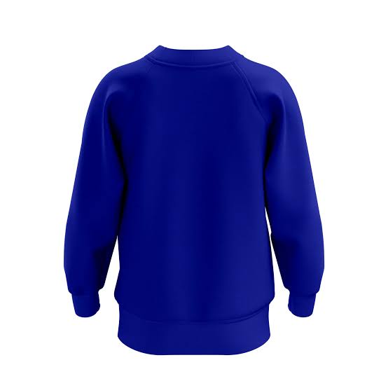 DENIM BLUE SWEATSHIRT